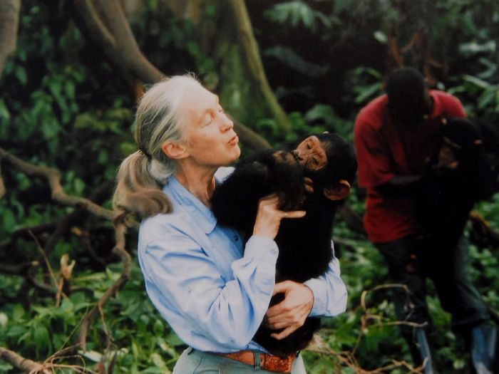 Is Jane Goodall Still Alive?
